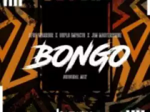 Afro Warriors - Bongo ft. Jim MasterShine & Duplo Impacto